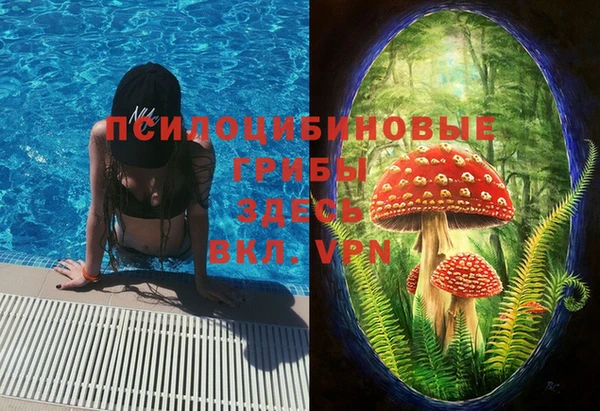 бошки Новый Уренгой